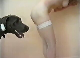 Sexy black doggy fucked a naked zoophile