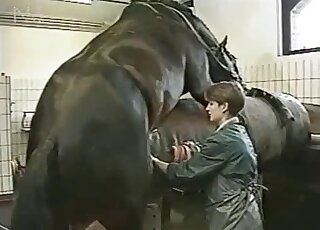 A stunning horse is enjoying filthy as fuck sex