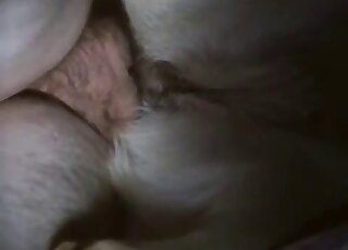 Sensual close-up zoophilic sex with a gorgeous beast
