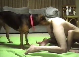 Doggy style ass to ass porn with a trained puppy