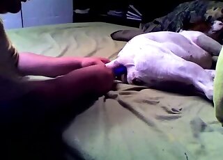 Aesthetic doggy sex play with a gorgeous male