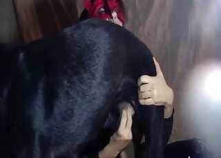 Spicy masked hottie fucks with a horny black doggy