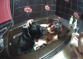 Cute Asian chick kisses her trained doggy with love