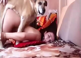 Sensual hottie is having fun with her animal