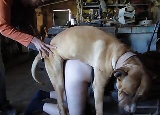 Sweet doggy screwed her tight cunt on the camera