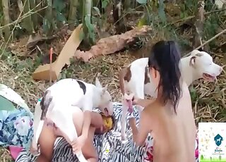 Masked sluts are sucking the huge penis of their dog