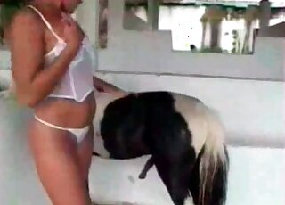 Extremely passionate zoo sex with a pony