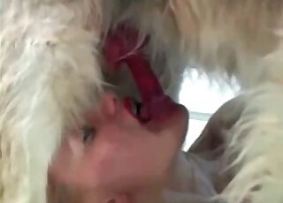 Hairy doggy sucked nicely by zoophile