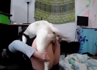 Awesome white dog quickly fucked her wide-opened cunt