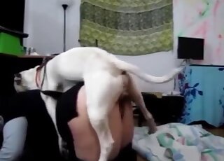 Awesome white dog quickly fucked her wide-opened cunt