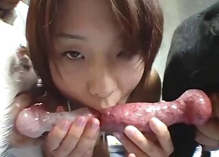 Cute anal session with a sex-addicted Asian model