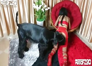 Sweetheart opens her ass for a sensual trained dog