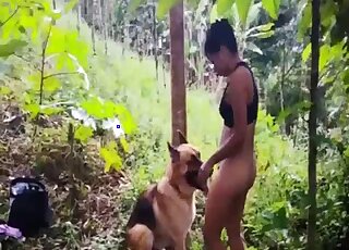 Rough sex in the forest with a stunning doggy