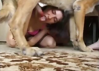 Good brunette is having fun with a stunning dog