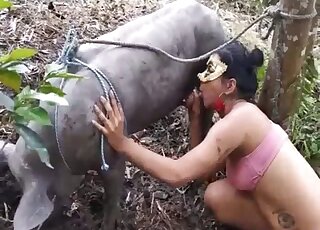 A wild animal is enjoying hardcore sex so much