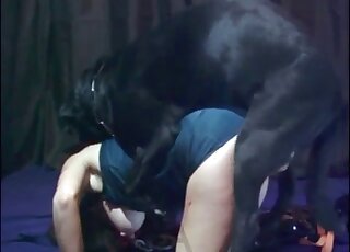 Sexy black dog fucked her tight cunt on the cam