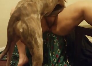 Small dog fucked her wide-opened tight vagina