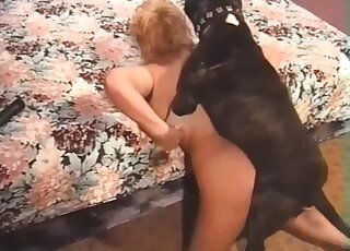 Black dog impaled her wet tight vagina