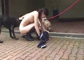 Submissive Asian slut and her impressive doggy