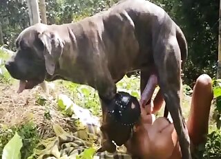 Sensual outdoor zoo porn session with a good doggy