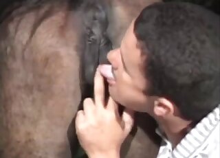 Young zoophile is licking his animal's tight anus