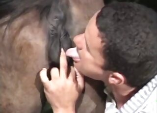 Young zoophile is licking his animal's tight anus