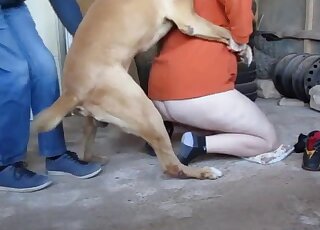 Crazy doggy rammed her tight cunt on cam