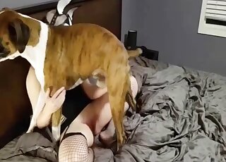 Miniature hound screwed girl's wet snatch on cam