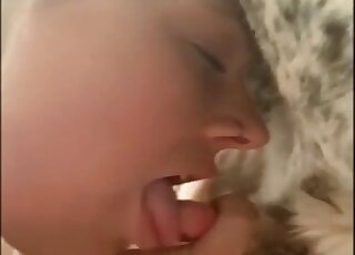 A sensual chick is sucking a small dog penis on camera