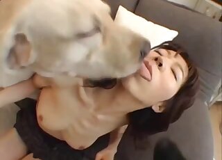 Small-tit Asian babe is enjoying dog threesome porn