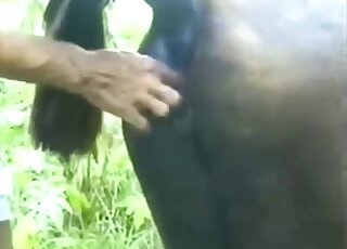 Awesome hardcore outdoor farm sex with a submissive animal