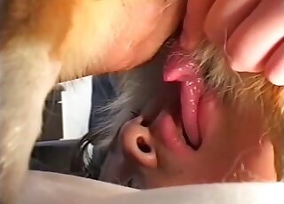 Slender model is sucking a huge horse penis with love