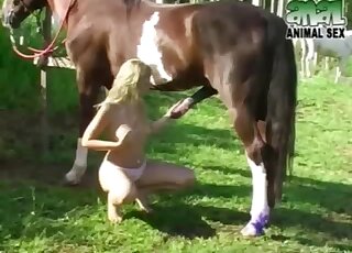 Outdoor sex game with a massive stallion