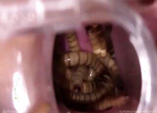 Dirty worms are filling out her little wet vagina