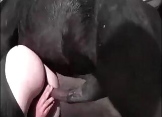 Leather pants chick fucking a horse