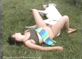Sweet dog fucked her wide-opened cunt on camera