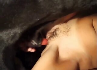 Stunning sex session with a big doggy