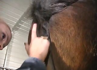 Blonde teen is sucking a good horse ass on the cam