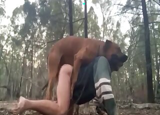 Man gets his ass fucked by a pretty nice doggy