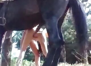 Outdoor handjob and horse fuck movie in H