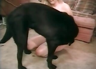 Free bestiality porn with a black dog and its cock