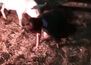 Pig shows its sexy body in a MILF fuck scene here