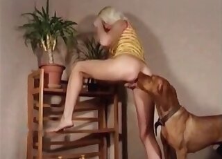 Free animal sex scene with a leggy blonde hoe