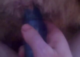 Mature animal hole getting stretched out in POV