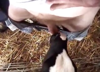 Dude’s cock getting pleasured in a REAL weird vid