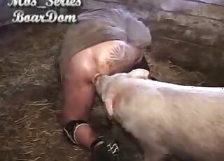 Big-assed zoophile pleasured by a dirty pig