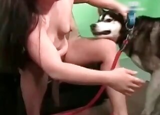 Awesome porn featuring a good-looking doggo