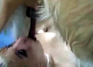Pleasant dick of a pup is getting licked