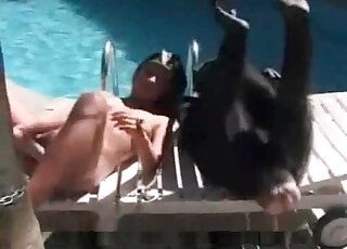 Zoophilic chick seducing an ape for the camera