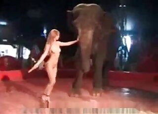Elephant shines in a zoophile porno movie here